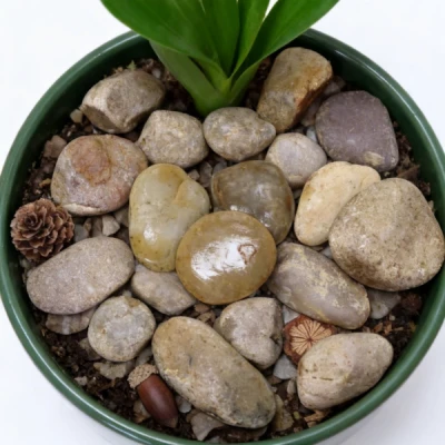 Garden Pebble Stones Near Me suppliers